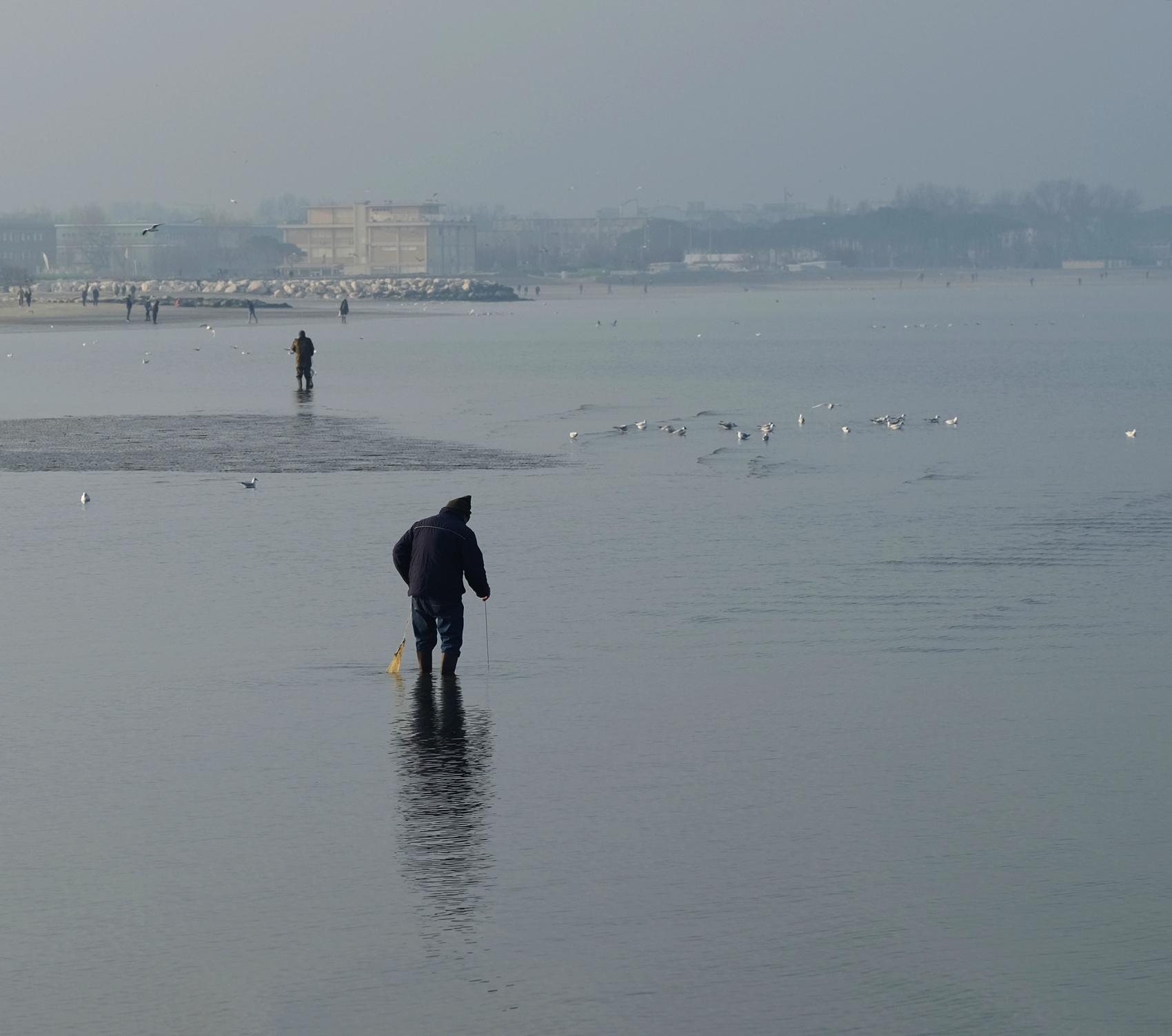 ..a pesca di cannolicchi...