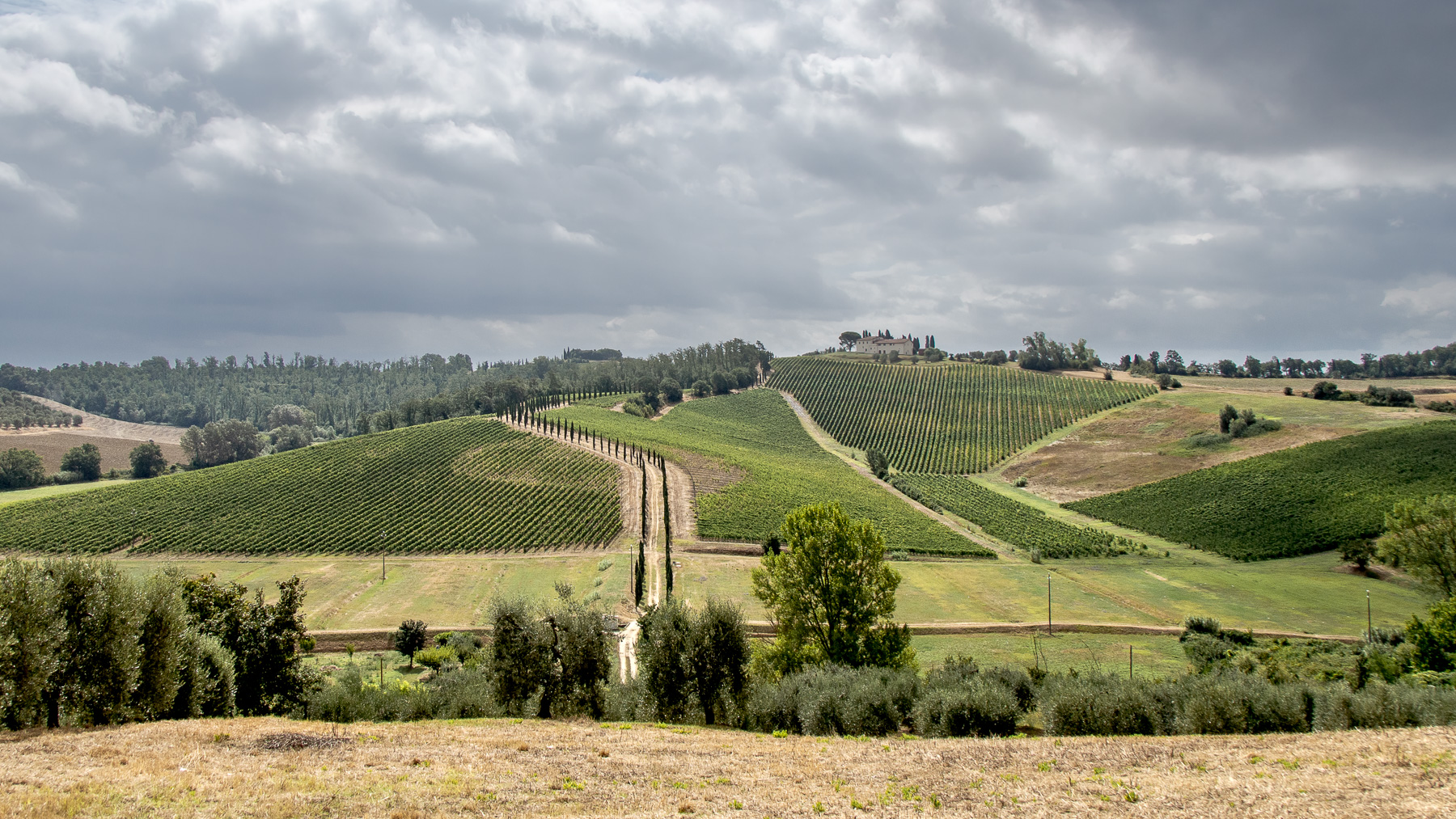 piccole incertezze estive