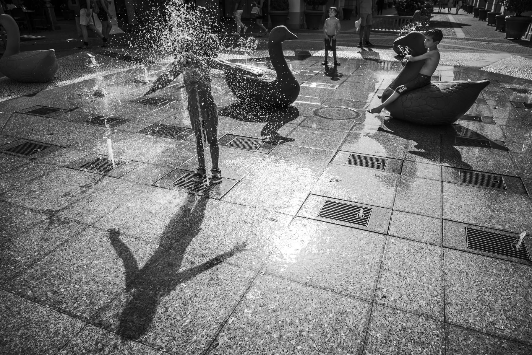 Fresco in citt� 02