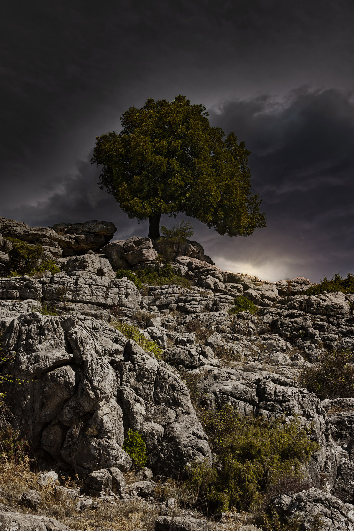 il solitario d'Ogliastra