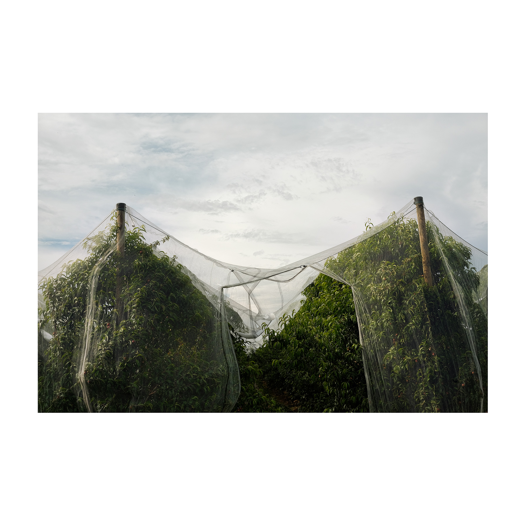 Cose (che stanno a fianco della strada)