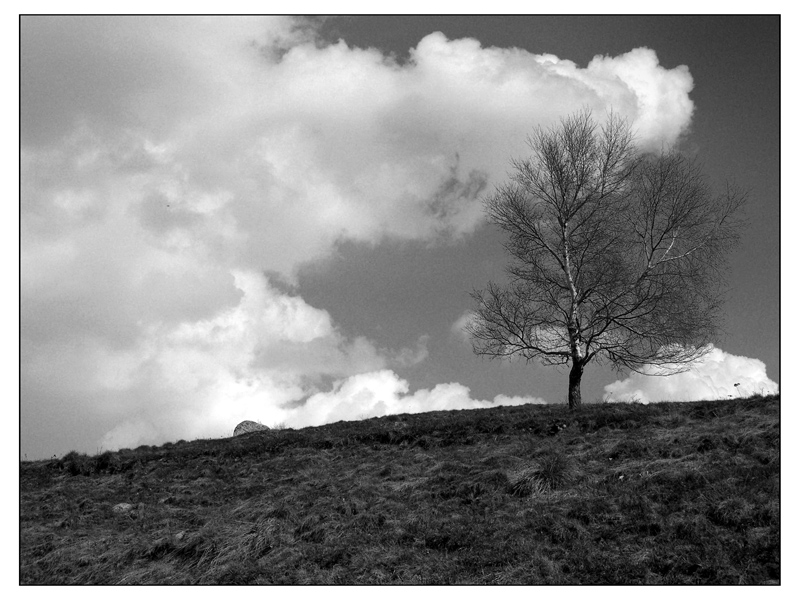 classico paesaggio b/n