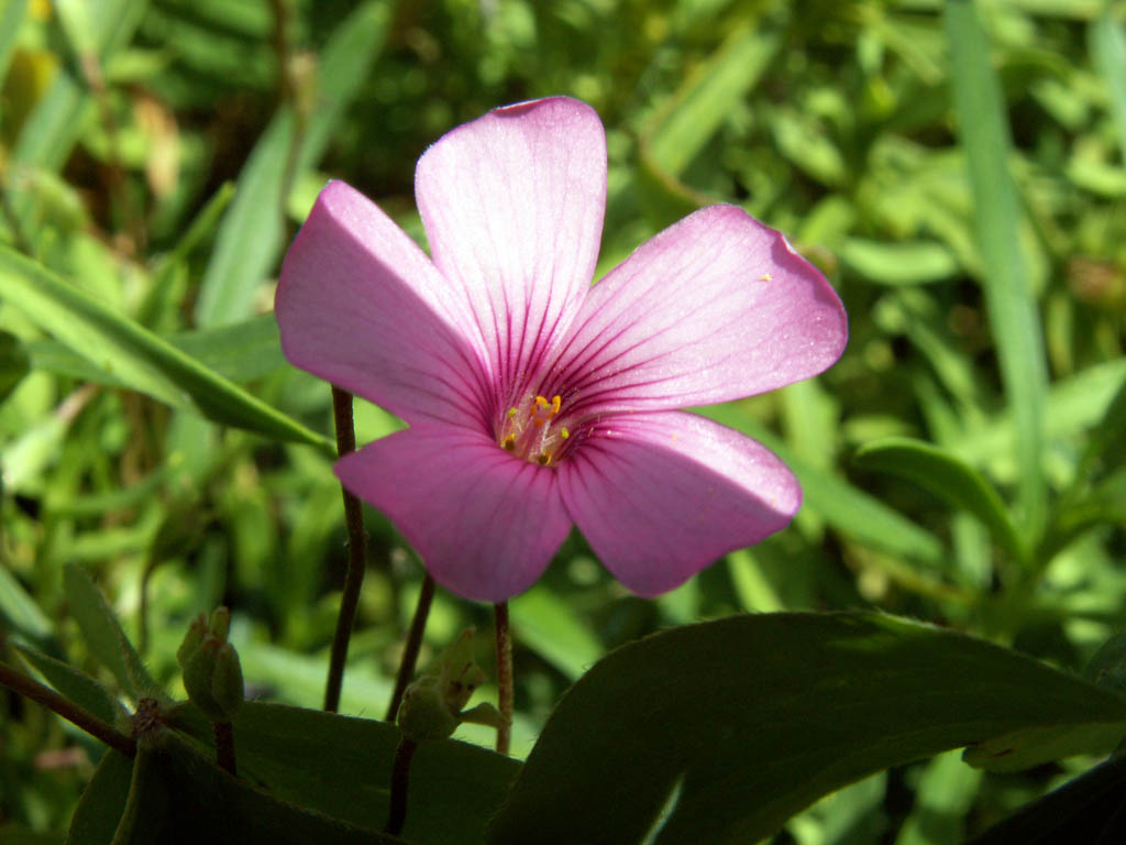 Mezza luce mezza ombra