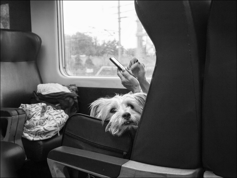 che noia sto viaggio....