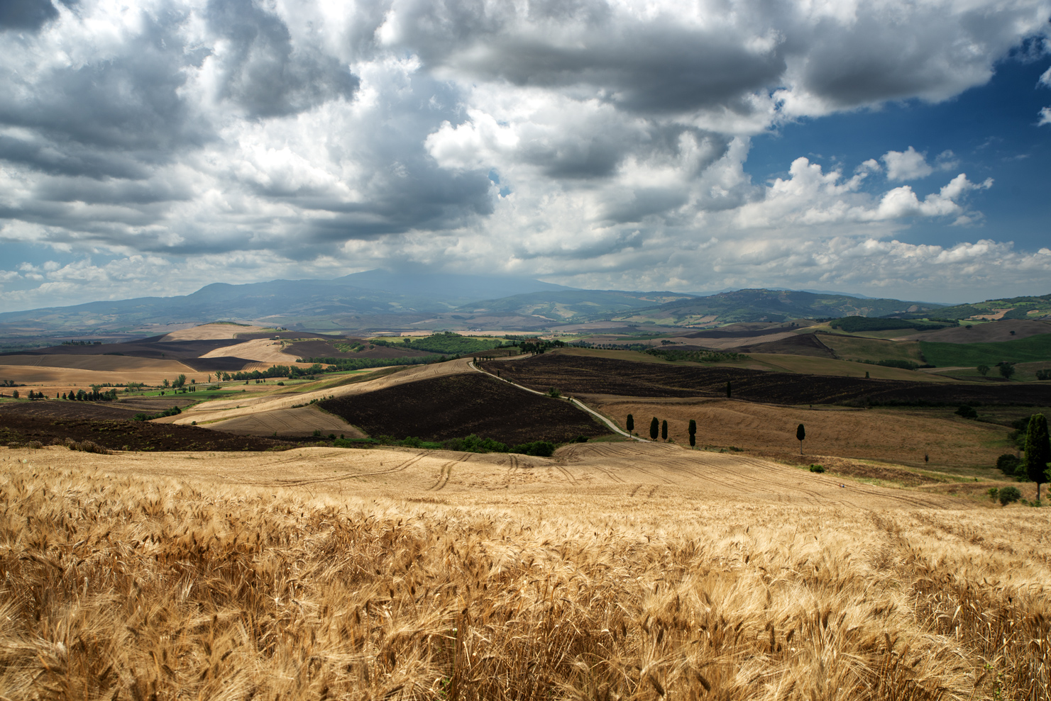 il gladiatore da qualche parte laggiu'