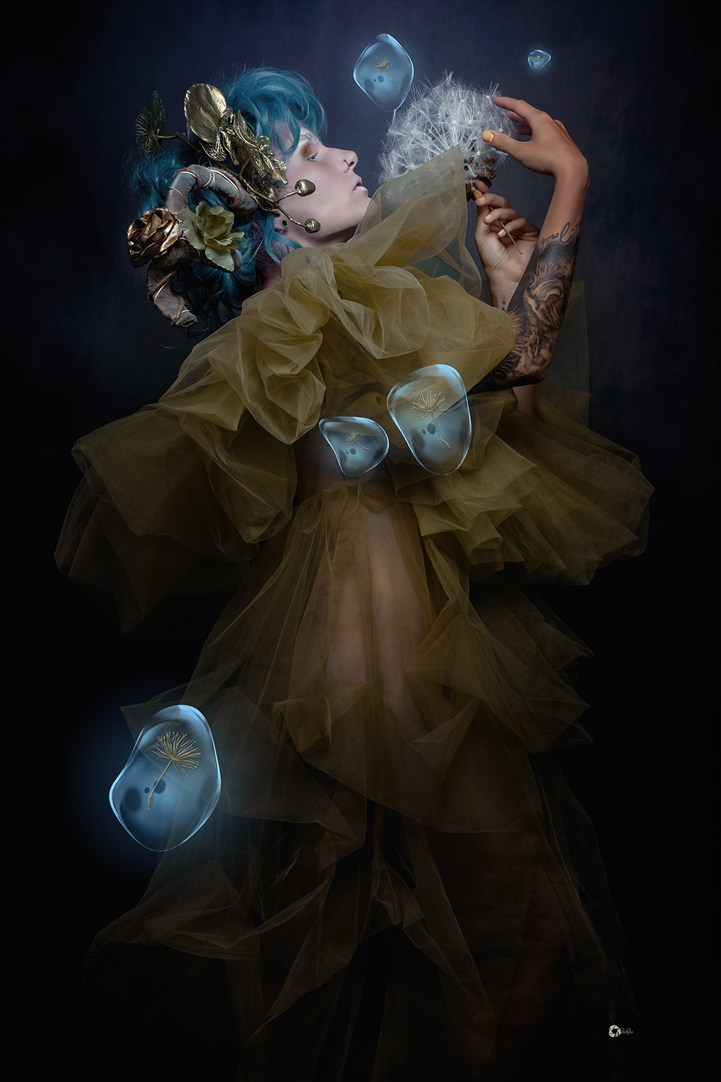 ��� WYNDRA ���