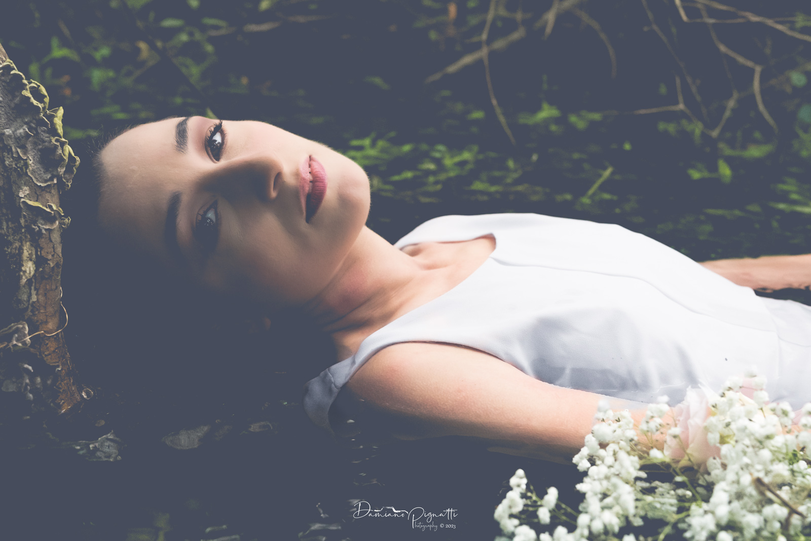 Sotto il velo del cielo