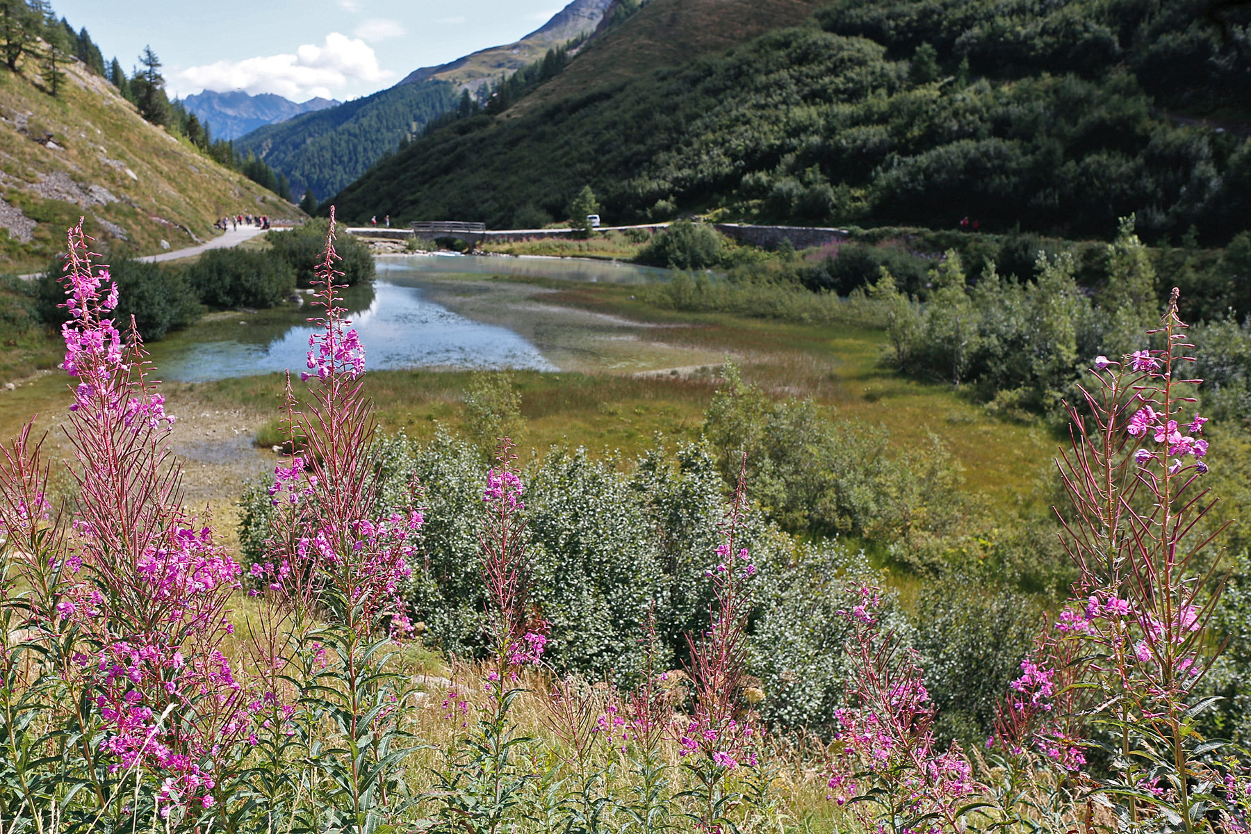 Panorama Val D'Aosta