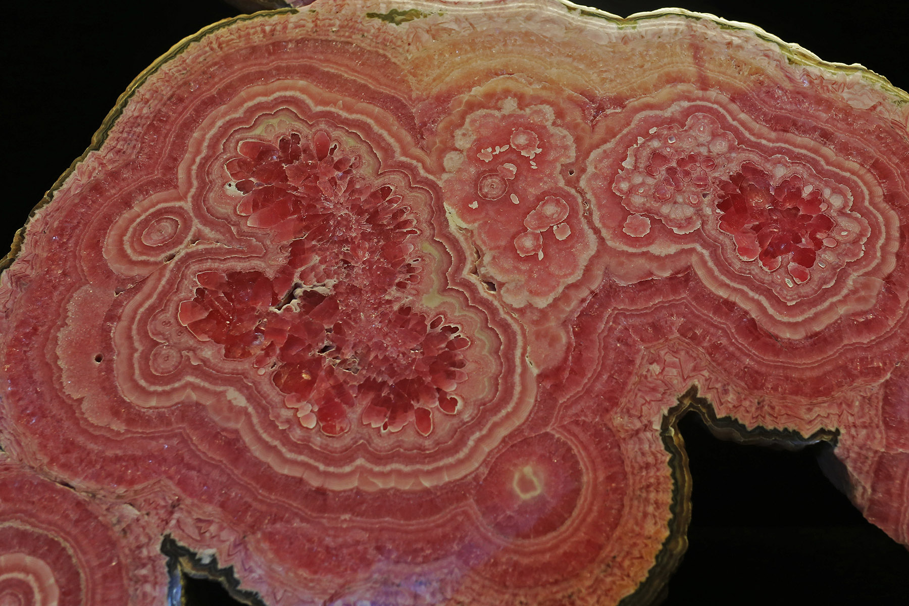 Evoluzioni di pietra