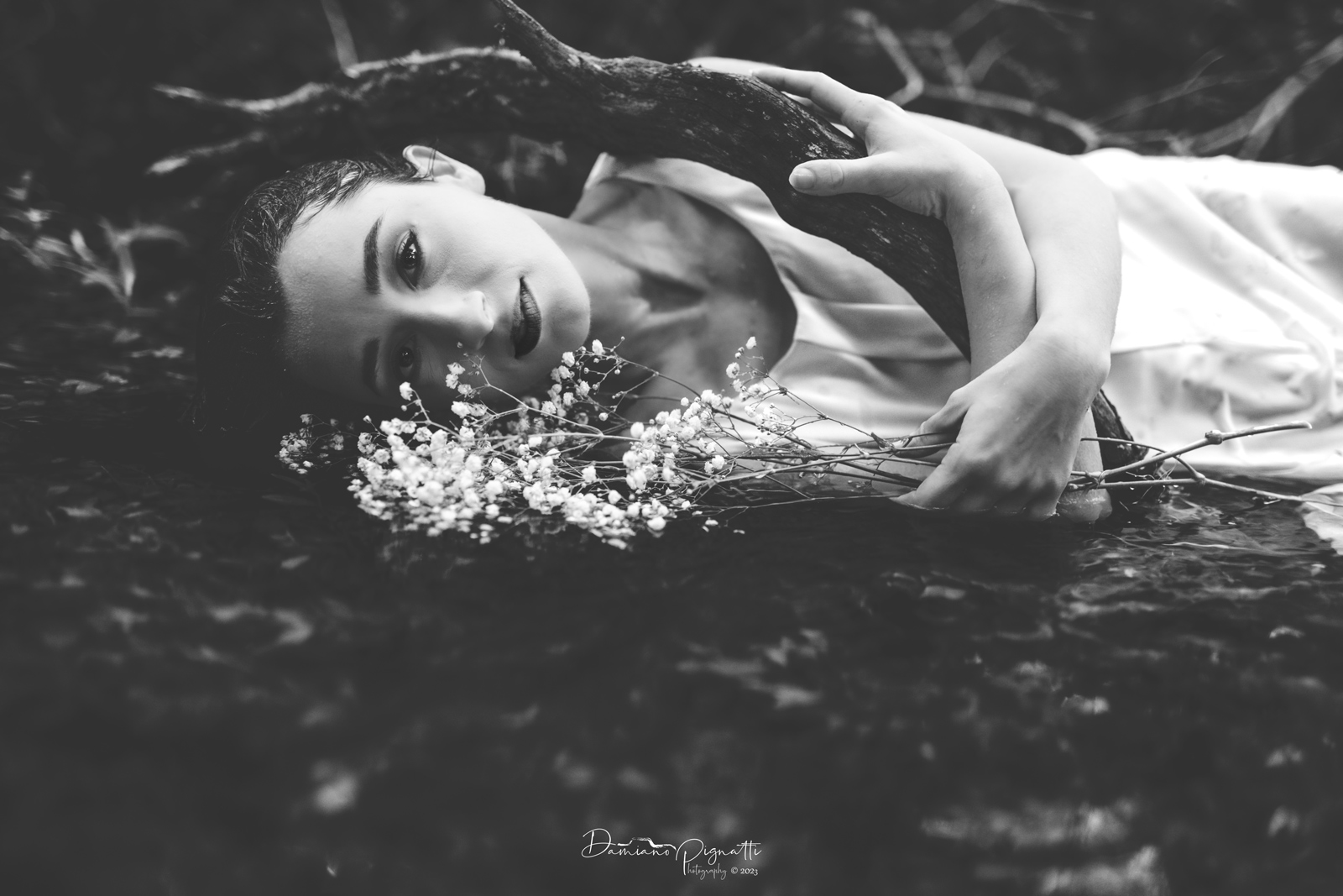 Siamo fatti '' Di Luce e Ombra '' - III