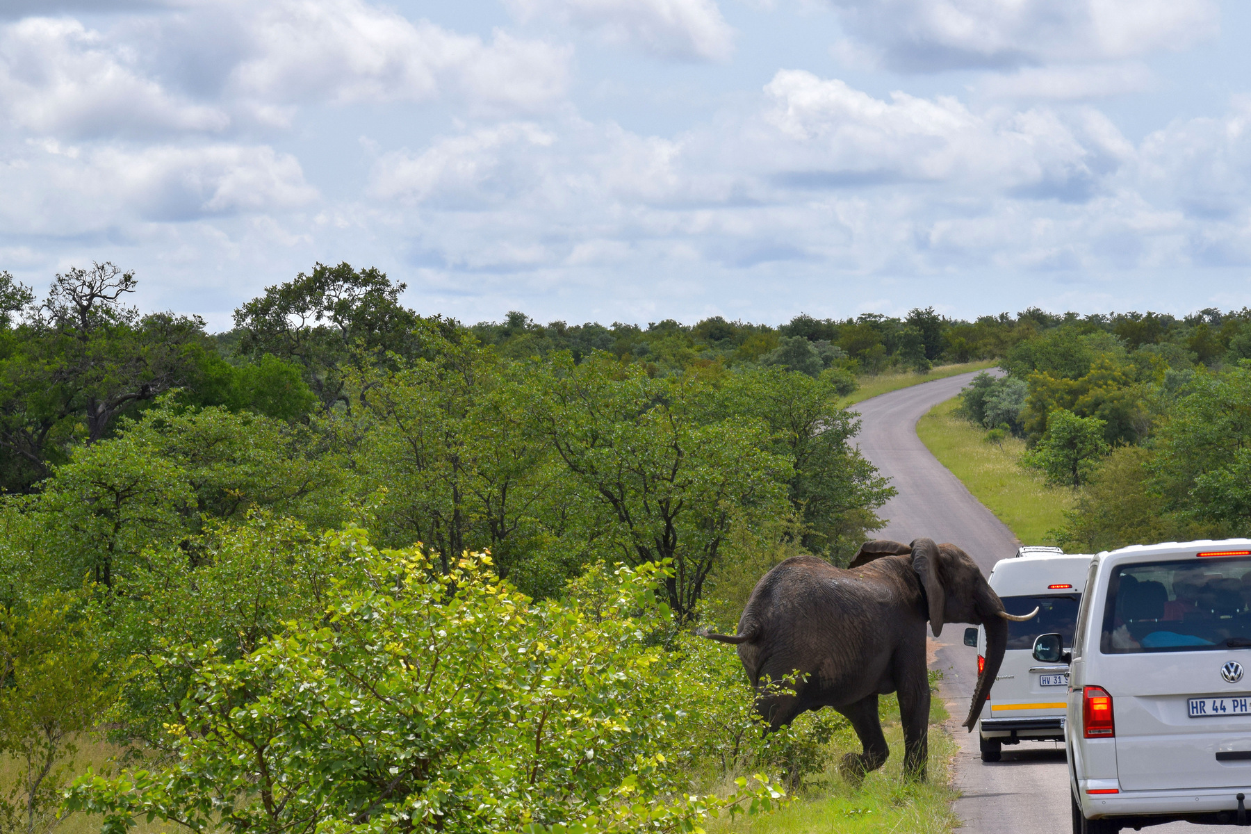 Attraversamento imprudente
