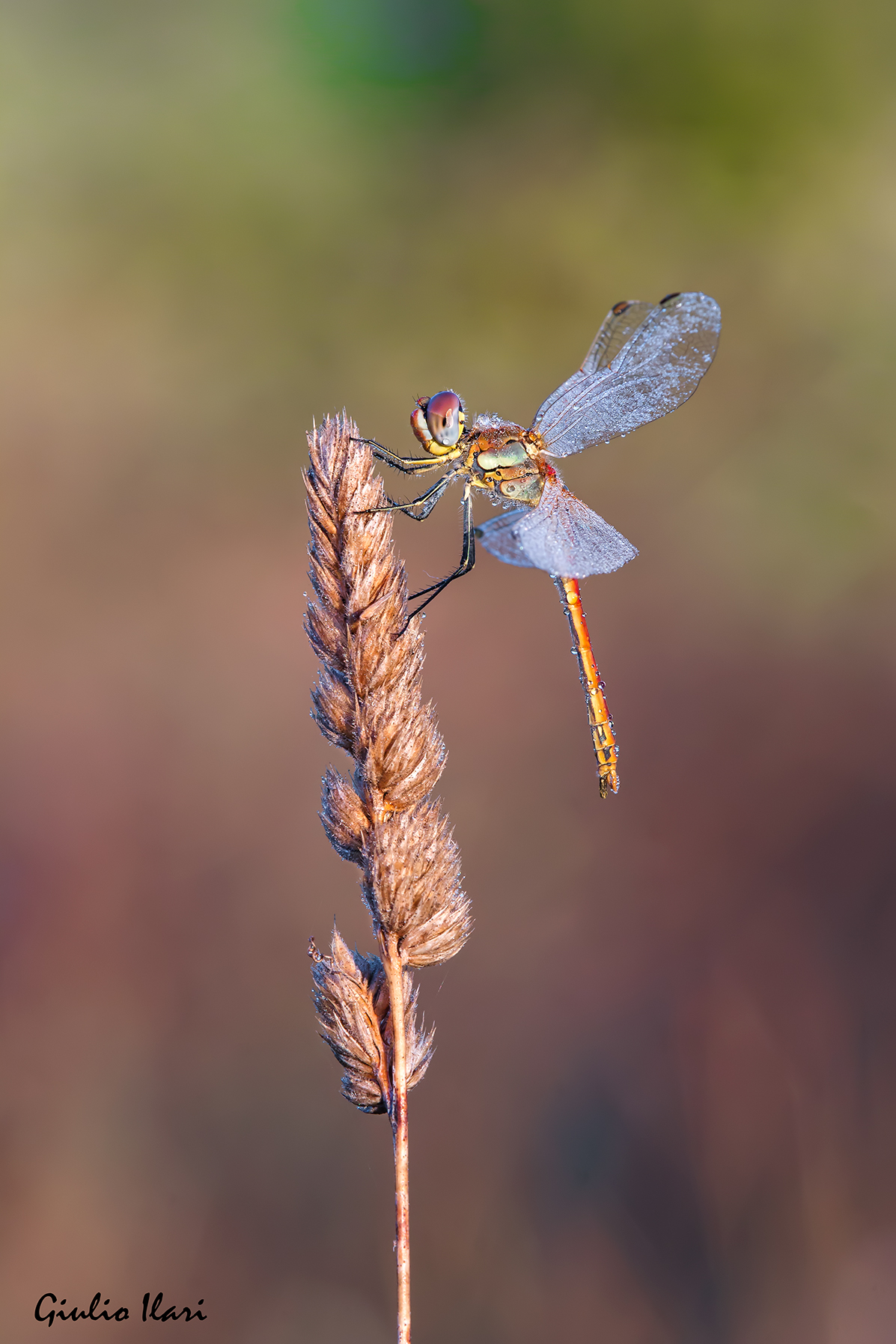 � bello fingere che sia ancora estate