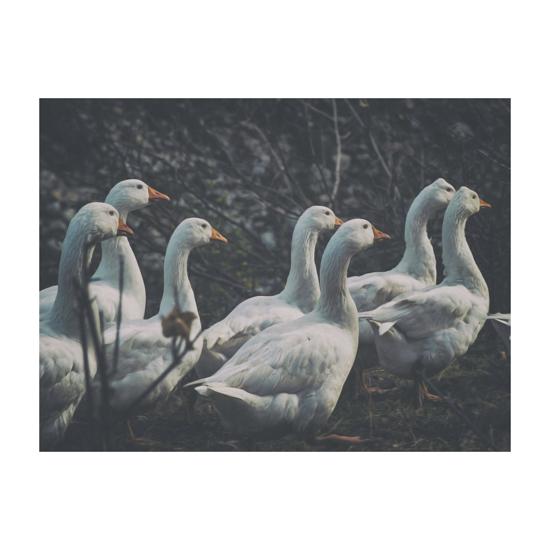 Va ora in onda "Il Grande Fratello"