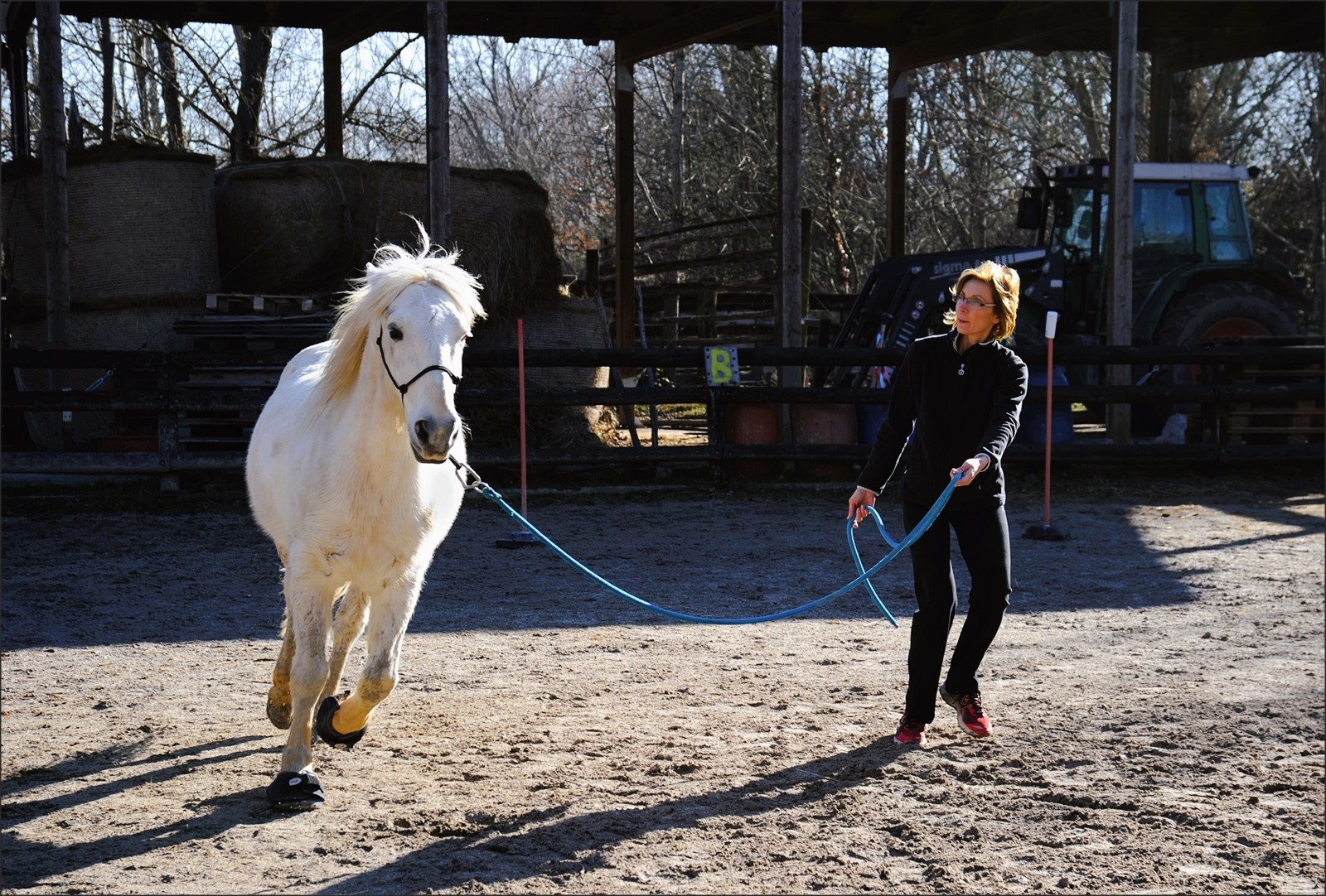 Isola della Cona (GO)