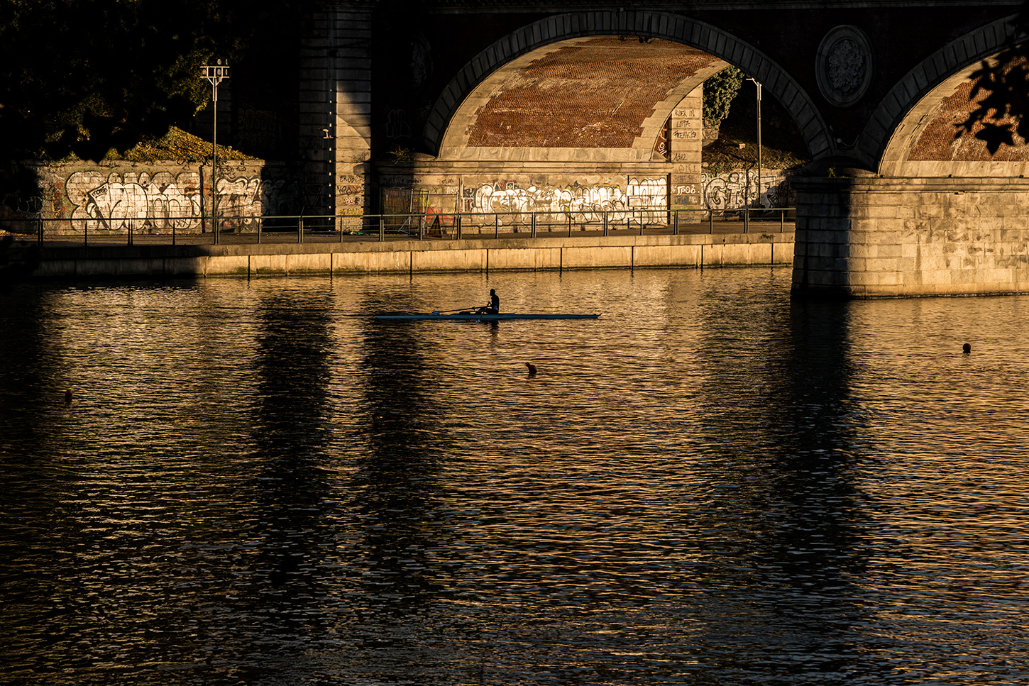 Canottaggio al tramonto