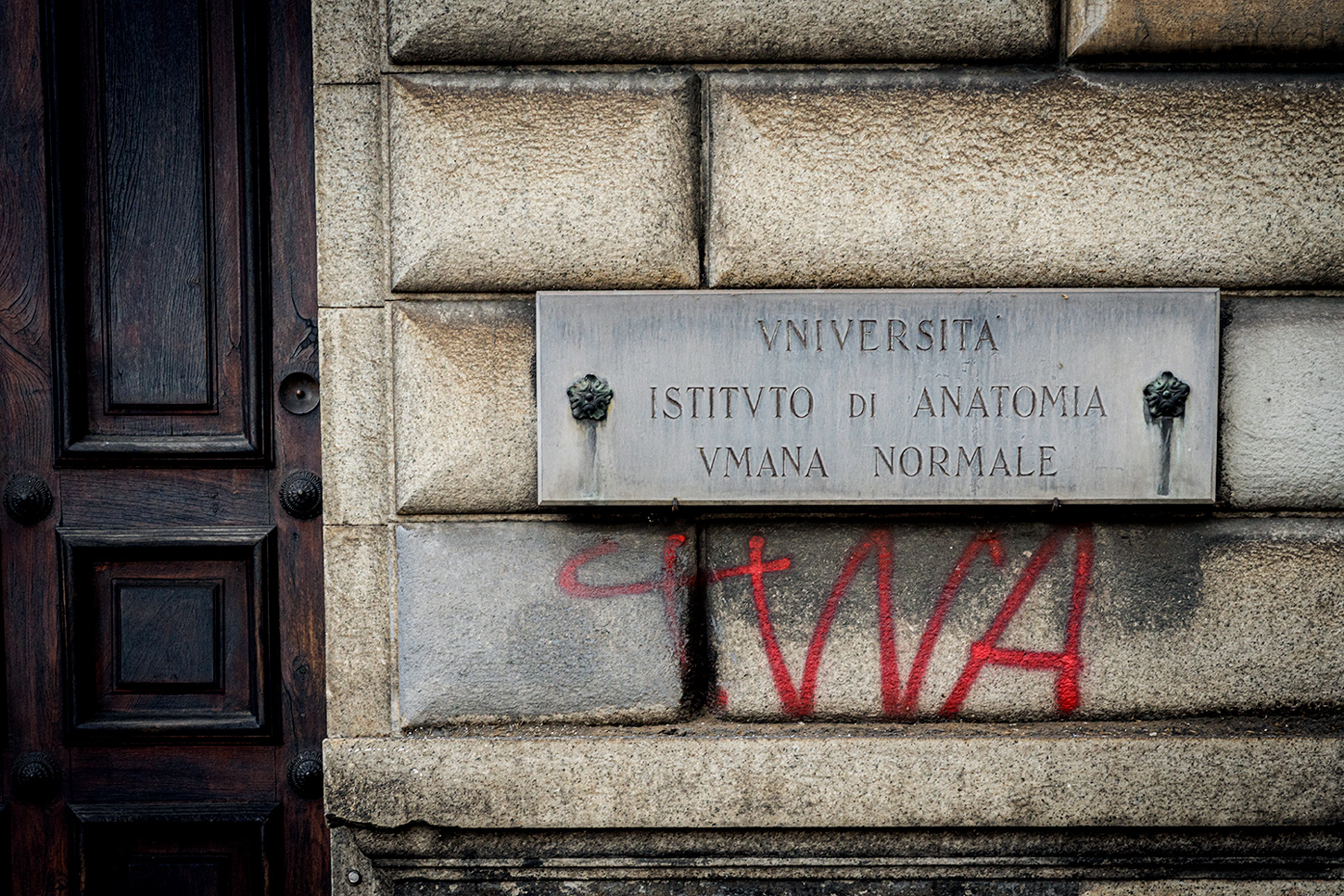 Anatomia umana normale