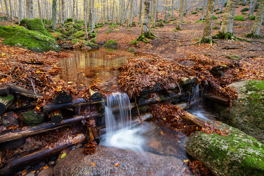 il torrente autunnale
