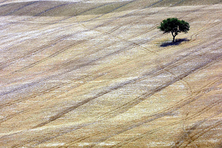 Val d'Orcia
