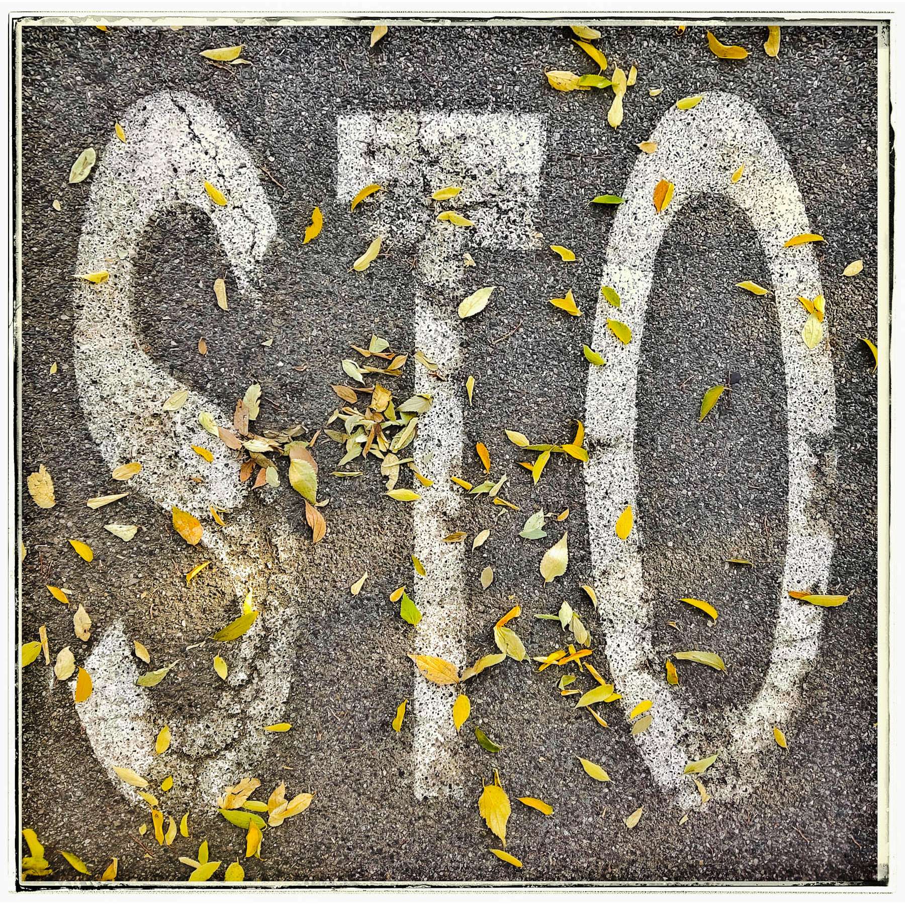 Sto (come d�autunno sugli alberi le foglie)