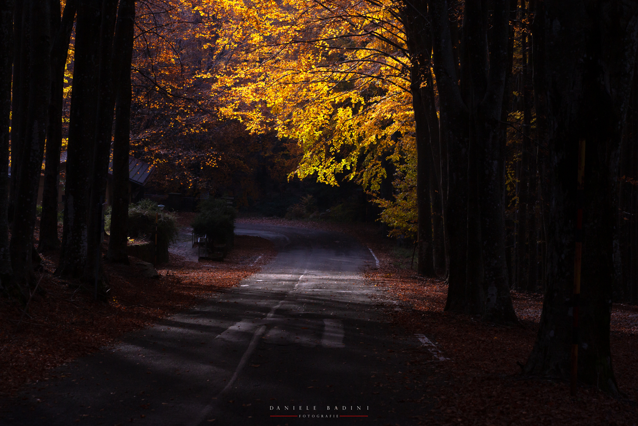 in fondo alla strada