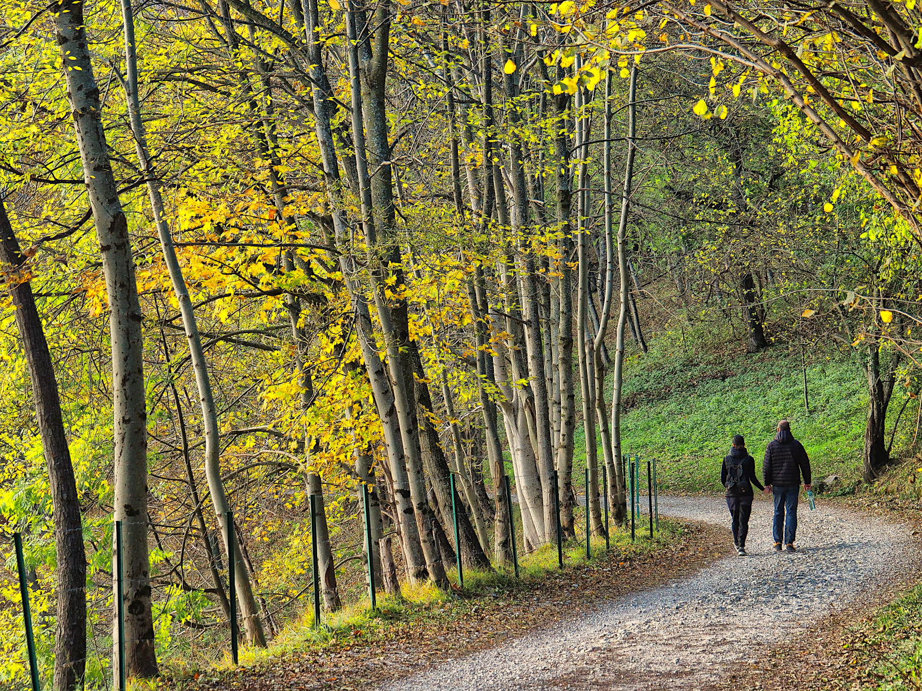 Insieme nell'autunno