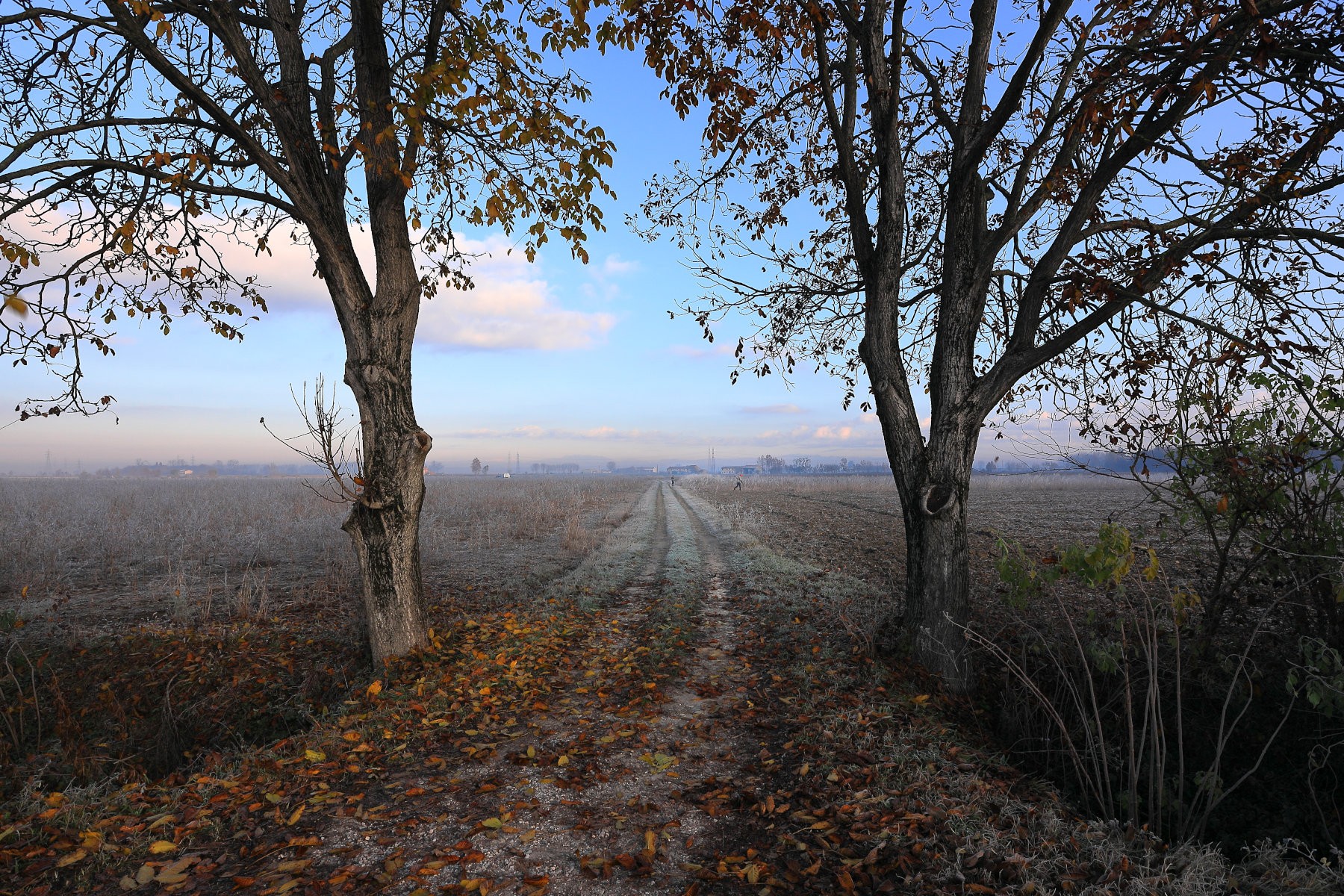 a caccia d'autunno...
