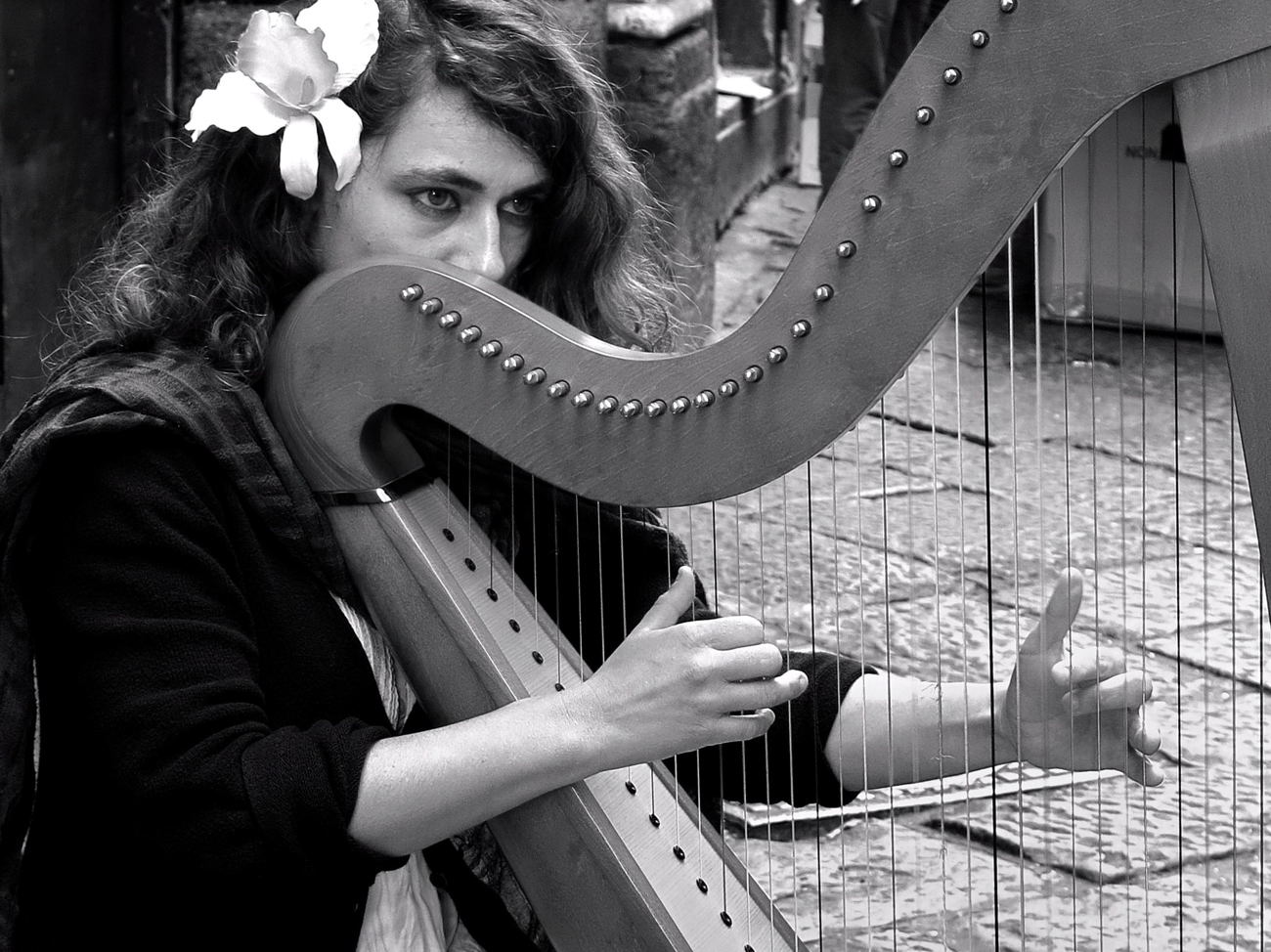 L'arpista di strada.