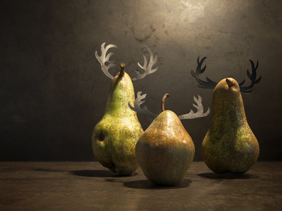 Operaomnia: serie animali