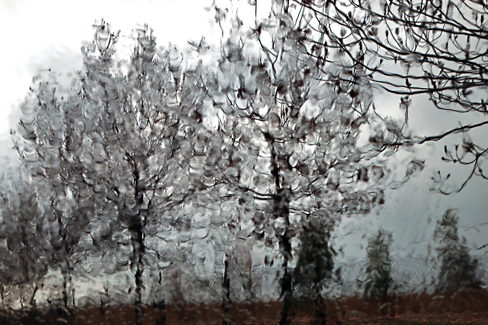 Al di l� del vetro