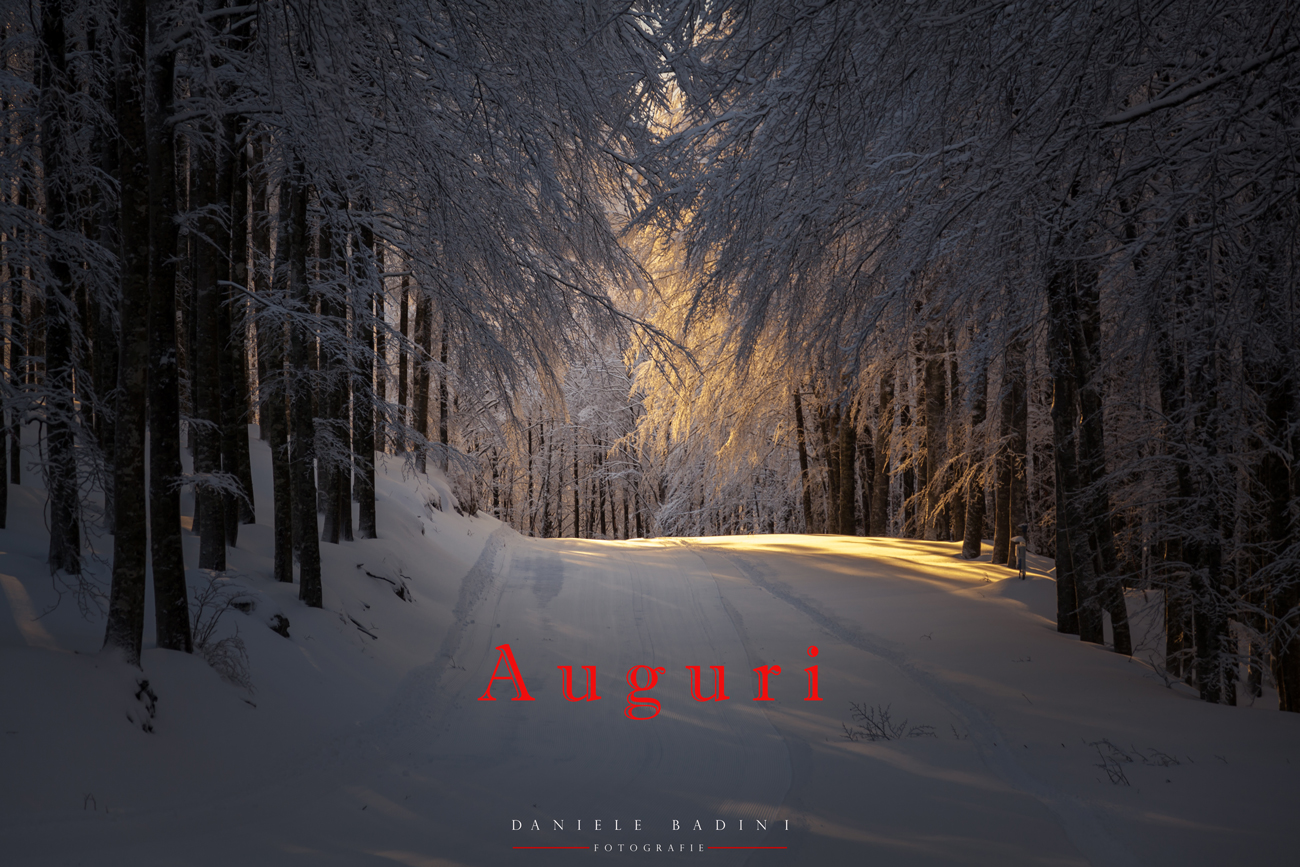 Tanti auguri alla tribu' di Photo4u.it