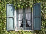 Finestra sul verde...