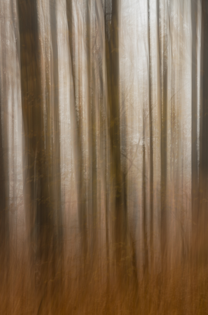 La nitidezza � un concetto borghese_3