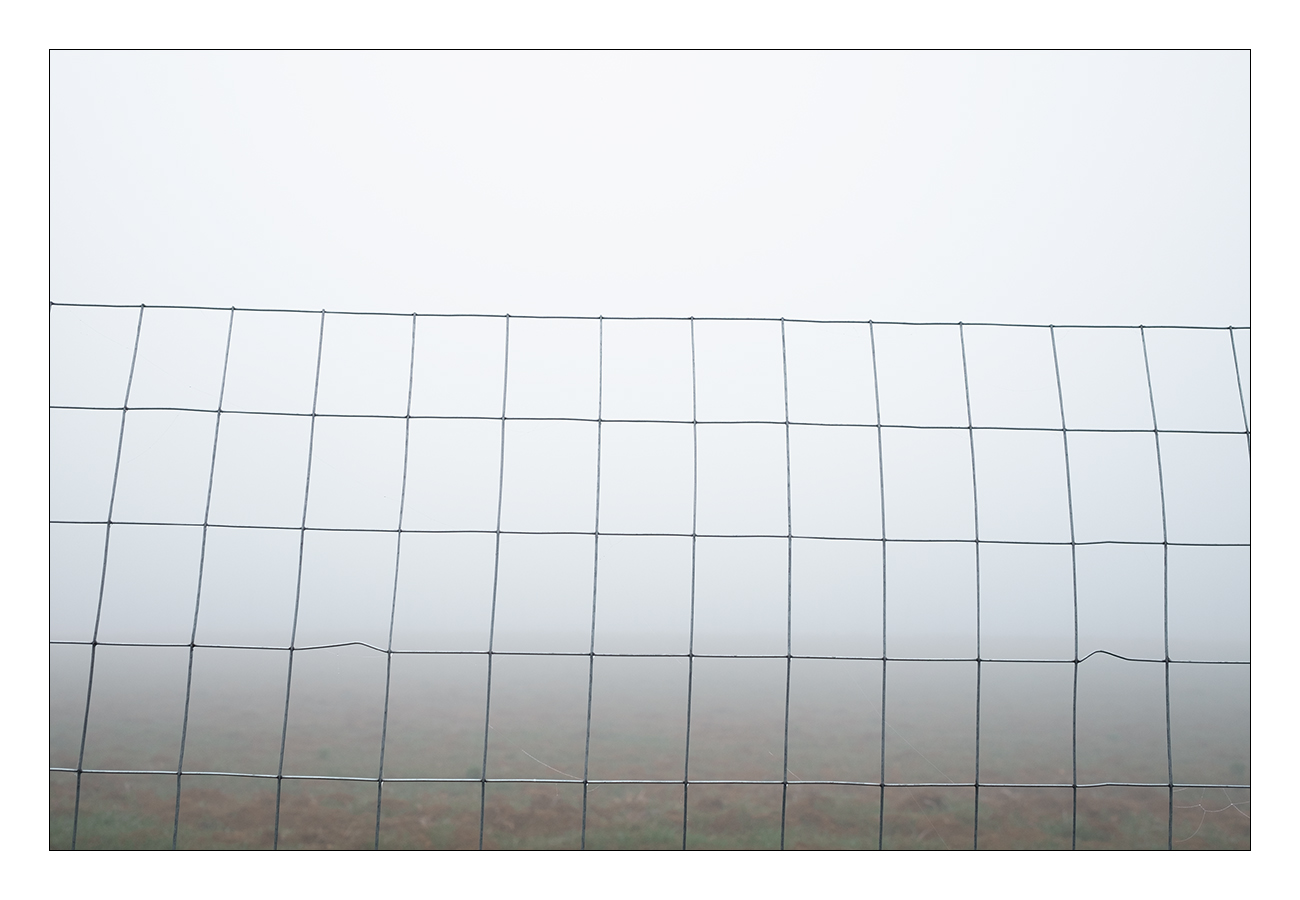 Oltre la siepe (monotonie padane)