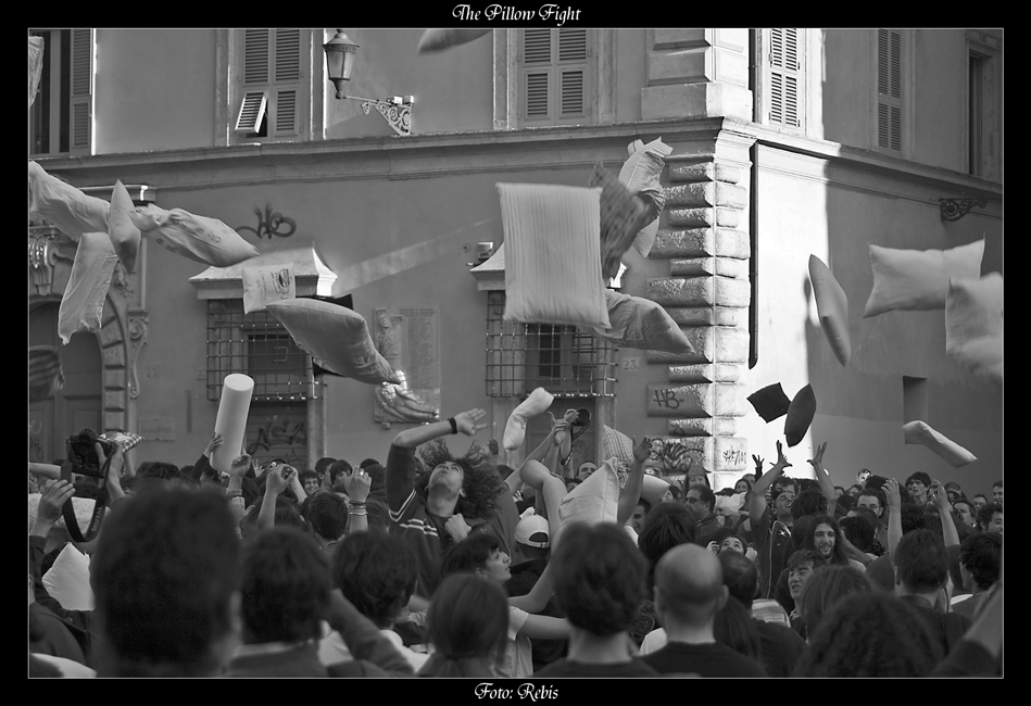 Pillow Fight
