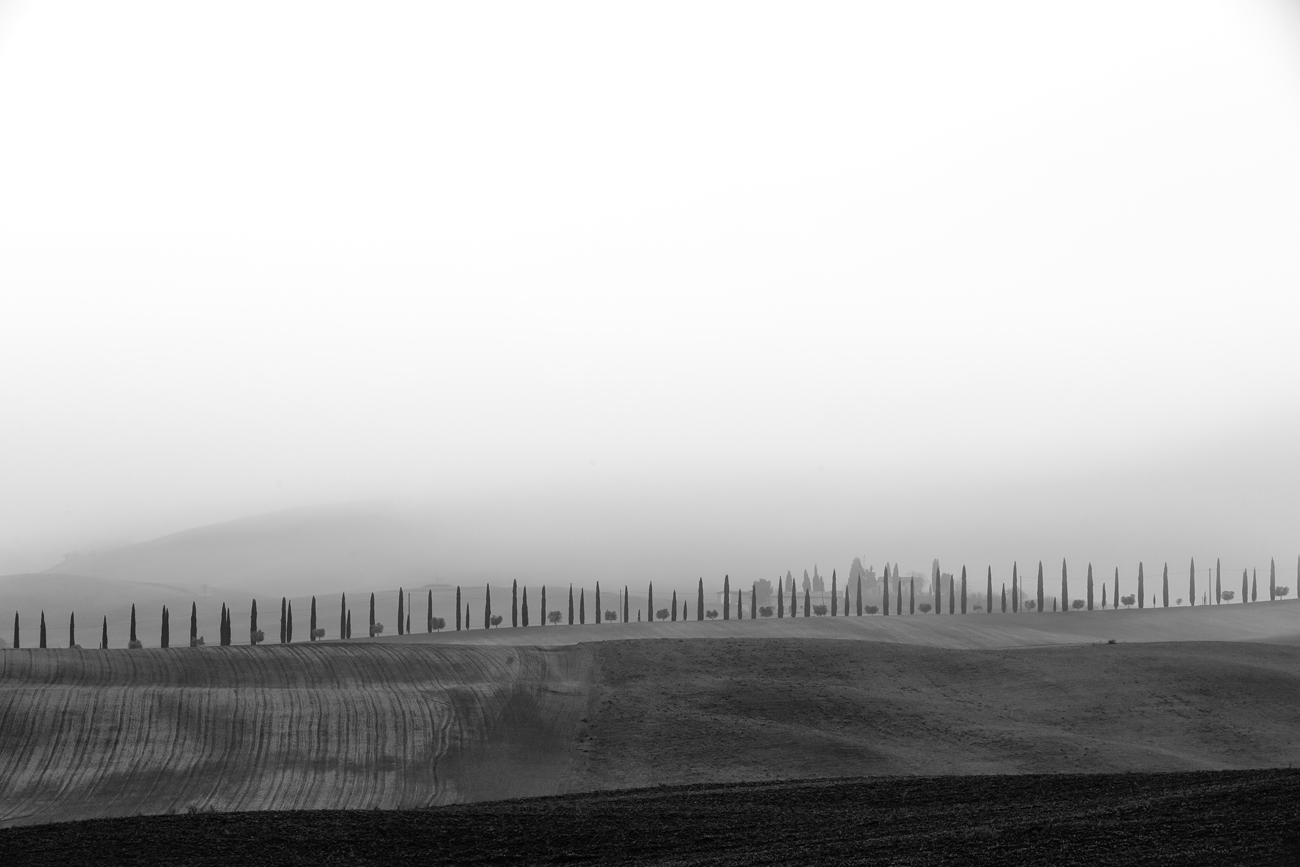 in fila di fronte alla foschia