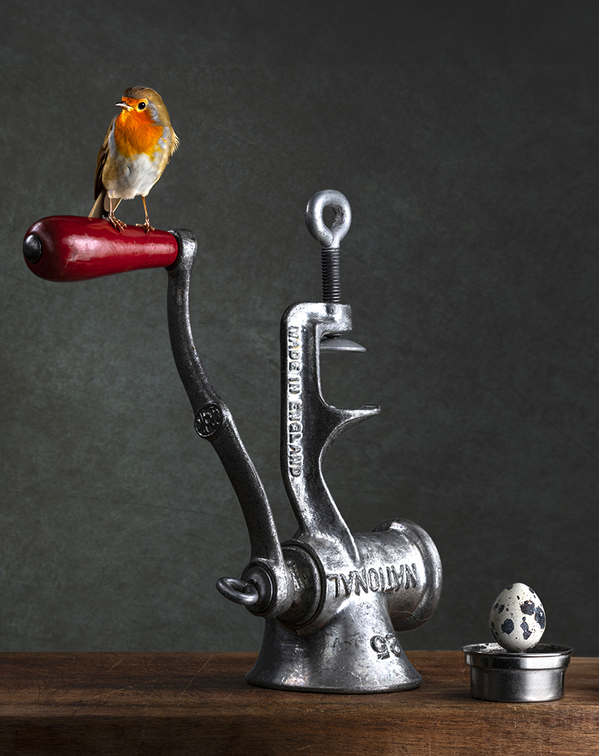 l' uccellin della comare