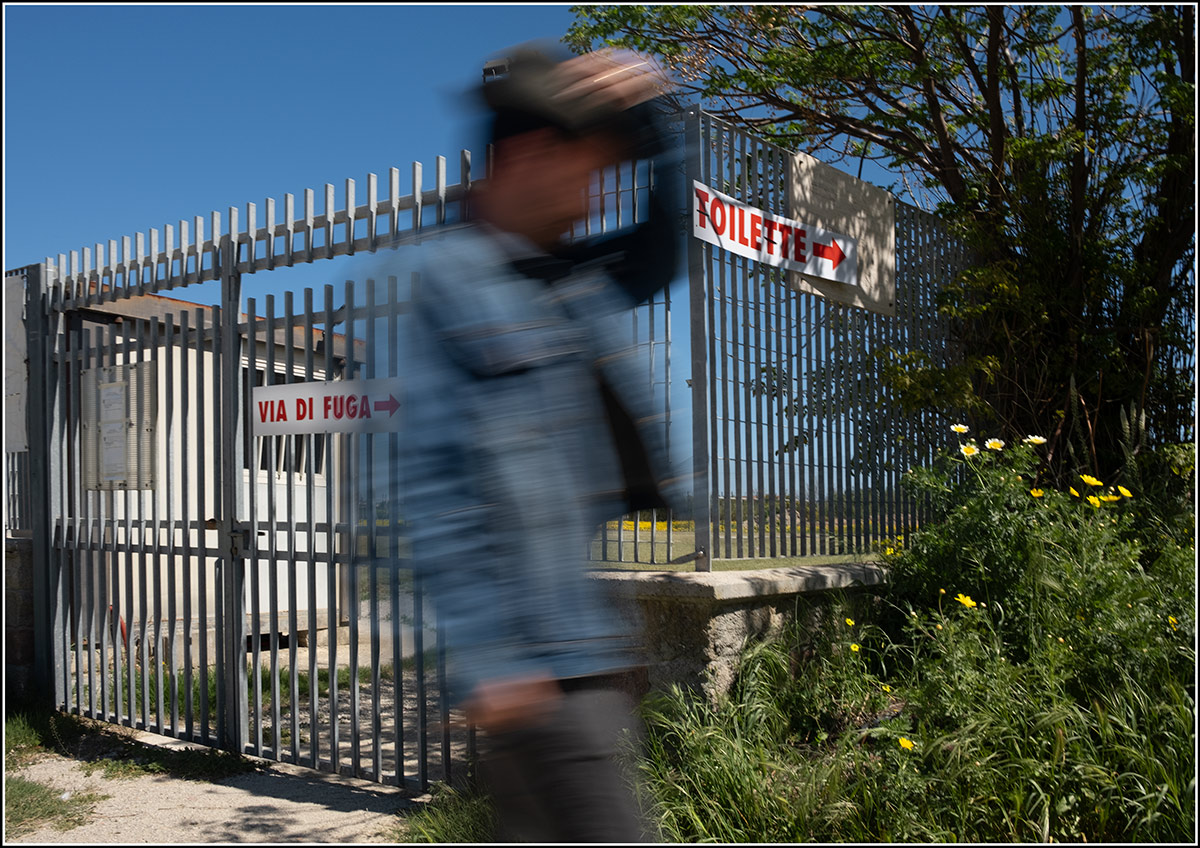 Comunque vada, c'� da correre