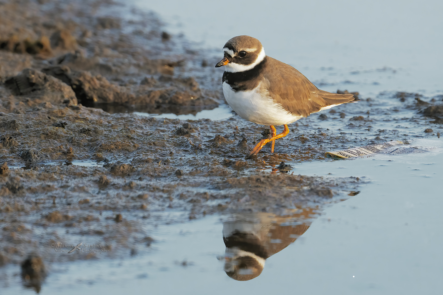 Corriere-grosso-e-l'incuria-umana_DSC05263