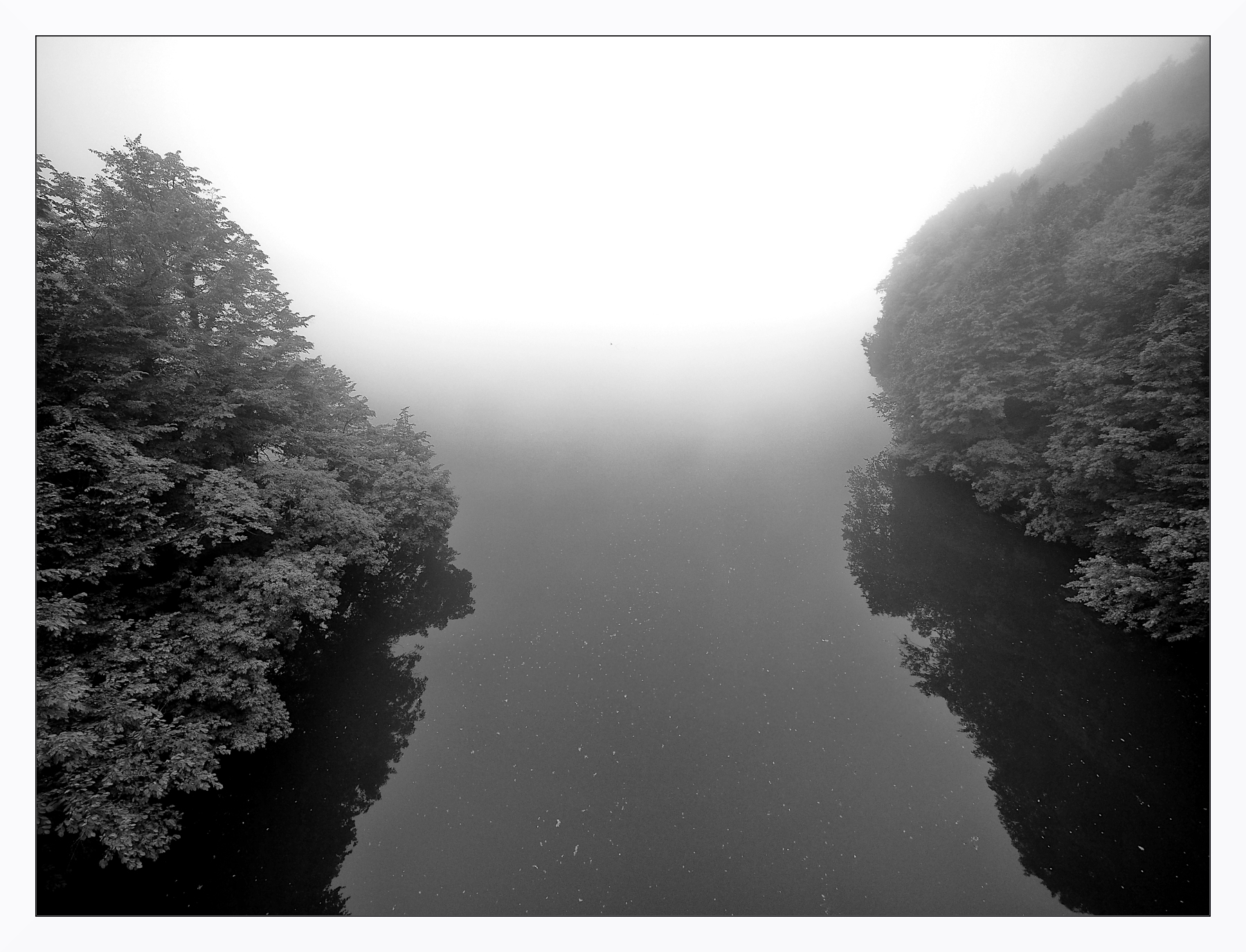Nebbia mattutina al lago