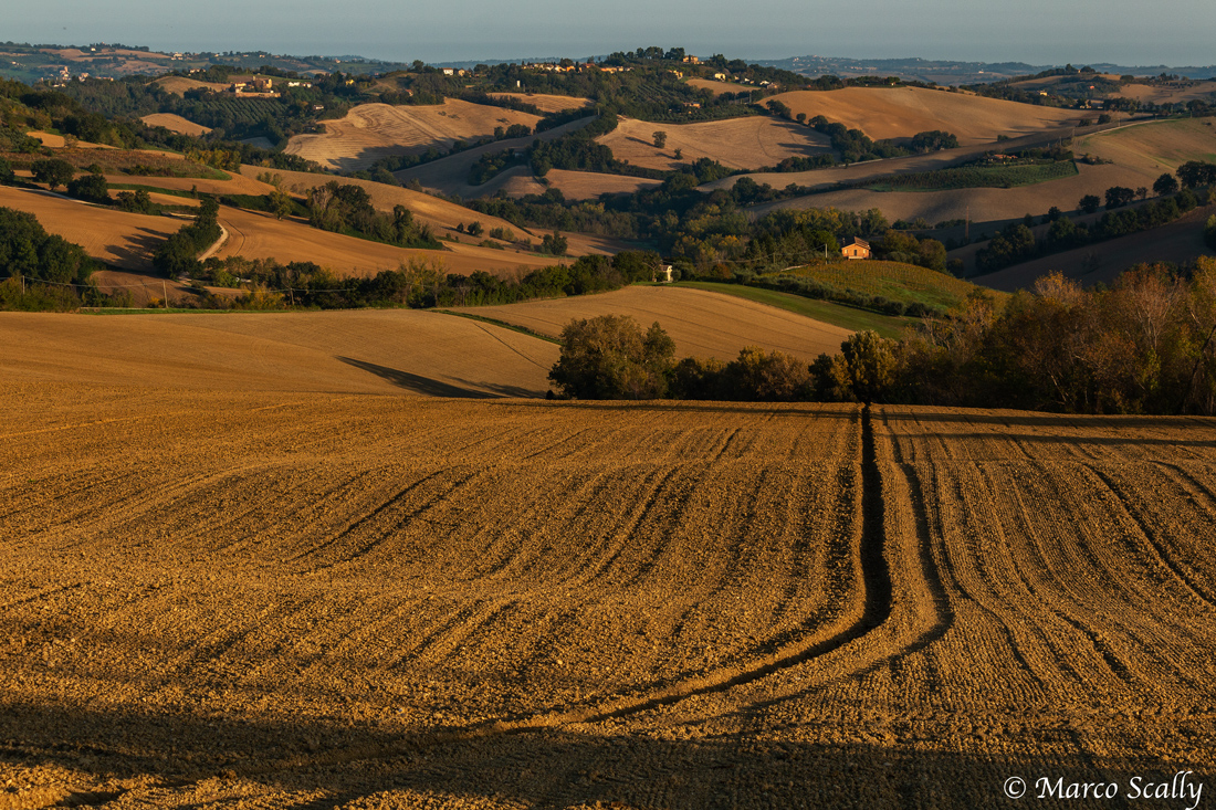 Il solco marchiggiano