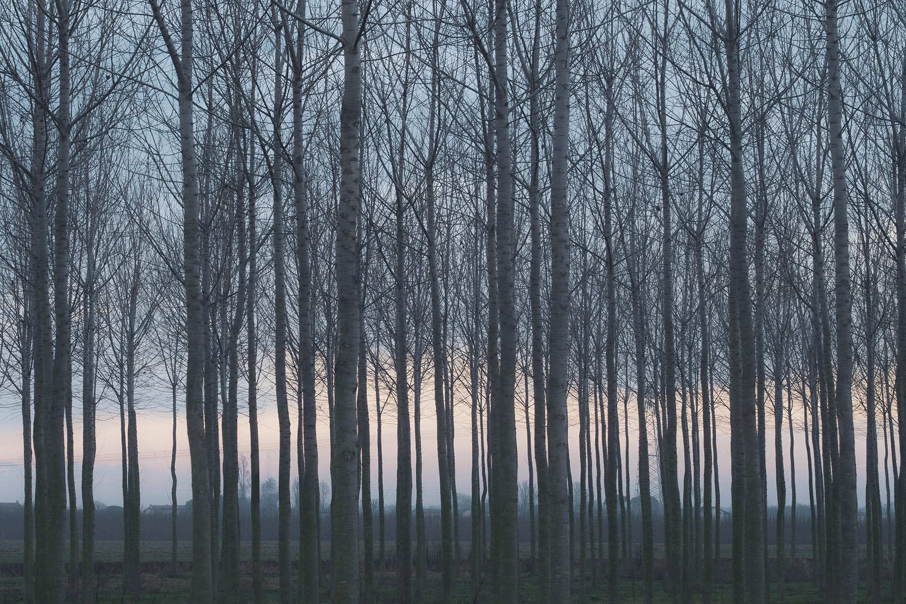 Veneto_e_Friuli_Gen2024_2