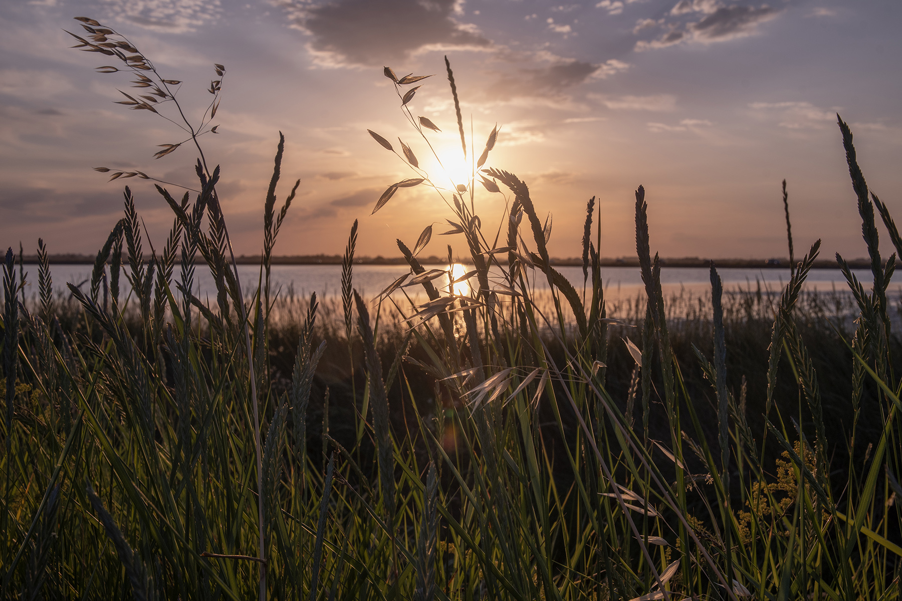 Saline_Cervia_Giu2024_3