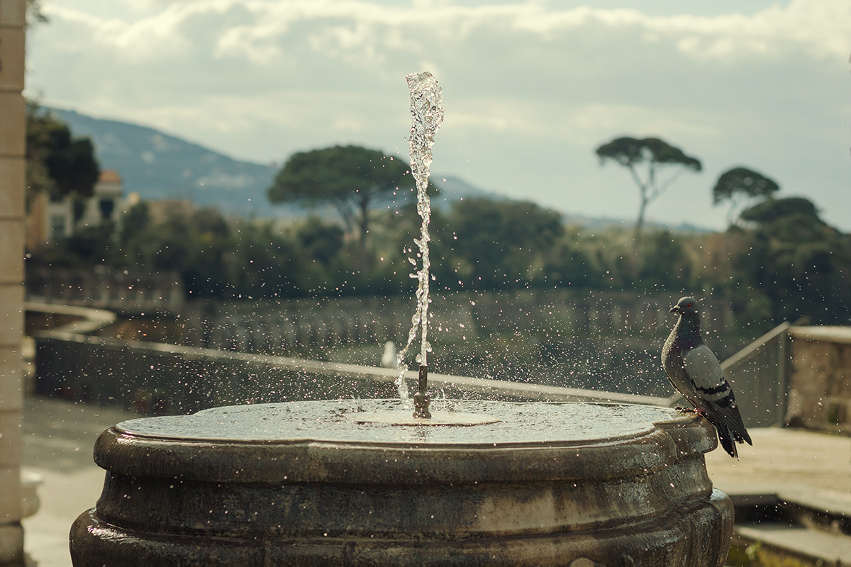 La Memoria dell'Acqua