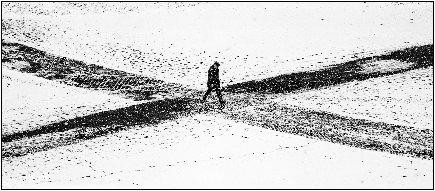 Tanta voglia di "lei"