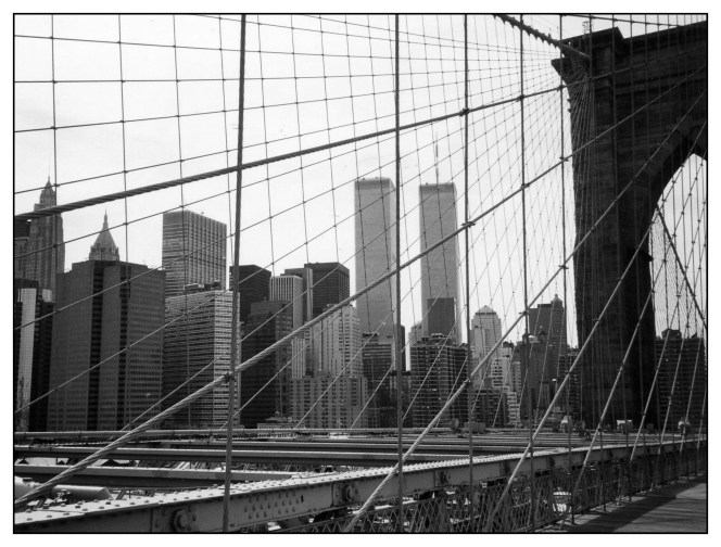 gemelle dietro la ragnatela