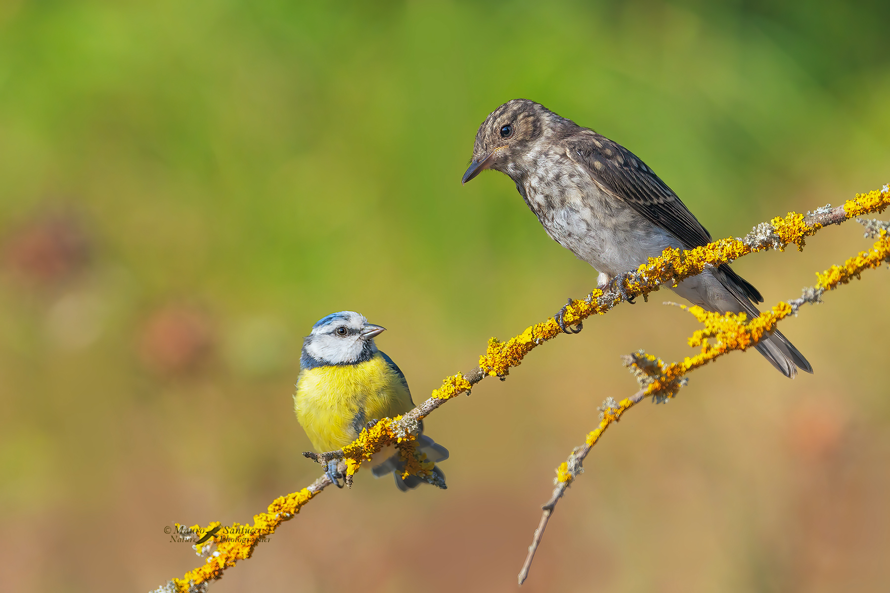 Una-coppia-insolita_DSC01277