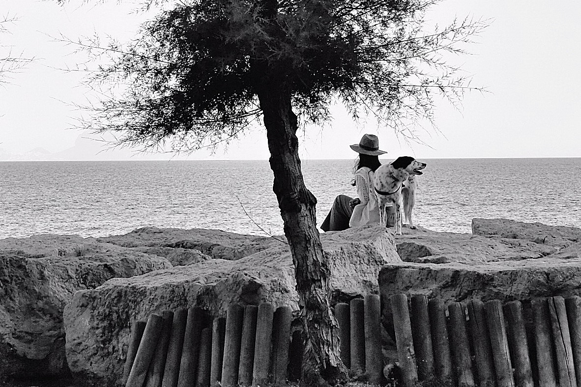 Seduta sulla scogliera