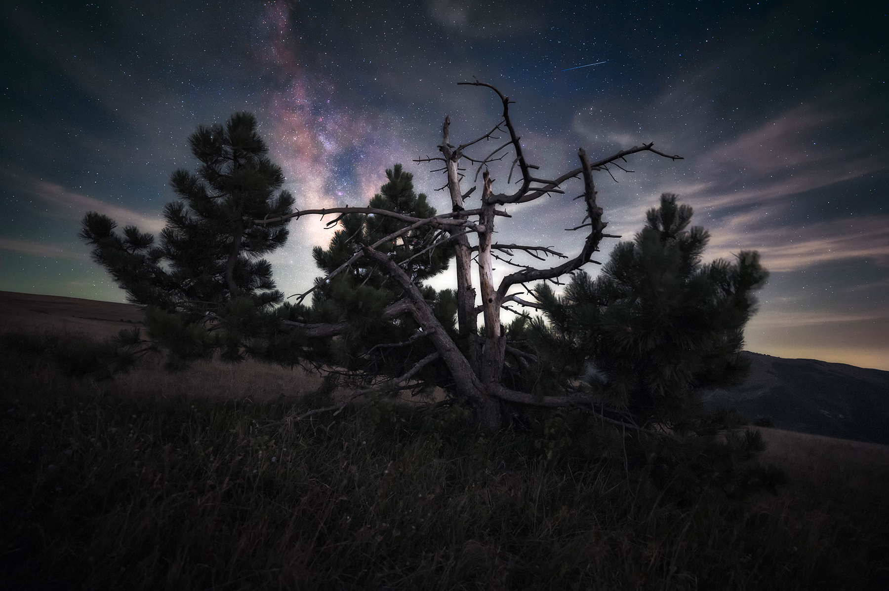 the dark eternal night #1