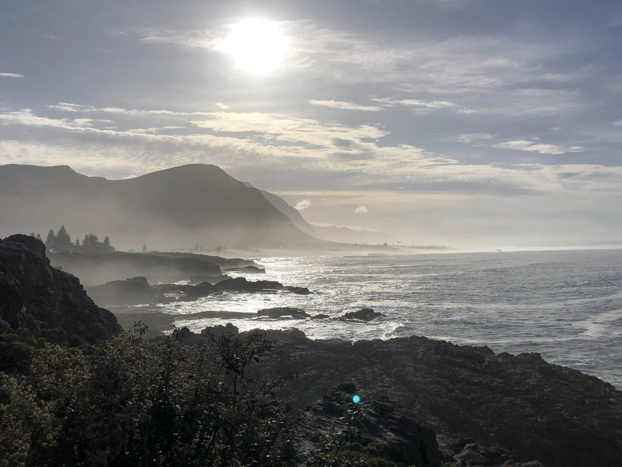 ALBA AD HERMANUS (SOUTH AFRICA)