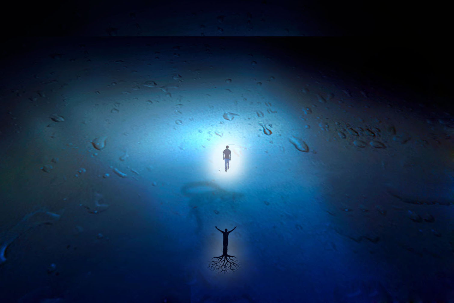 immobilismo radicato e libert� svincolata